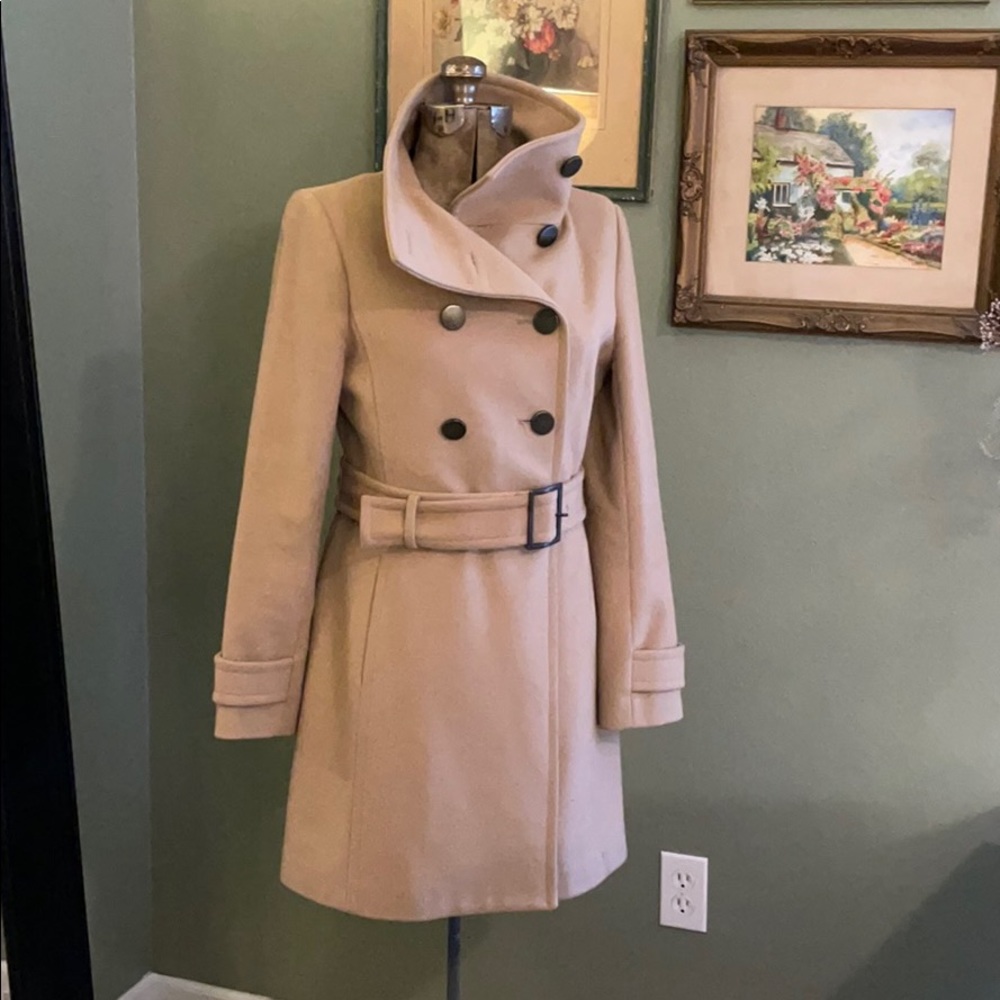 Aritzia wool coat